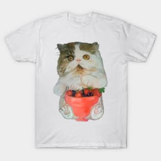 Kitten with Fruit Smoothie T-Shirt